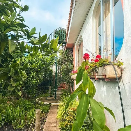 Canarian With Terrace Surrounded By Garden - Alisios Ferienhaus *
