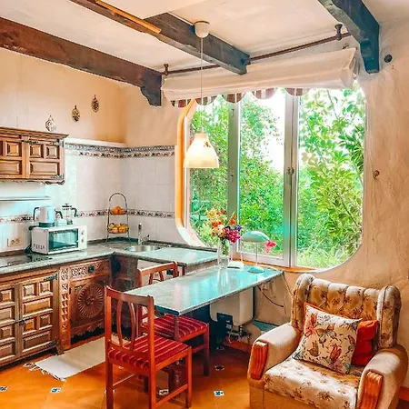 Canarian With Terrace Surrounded By Garden - Alisios Holiday home La Orotava
